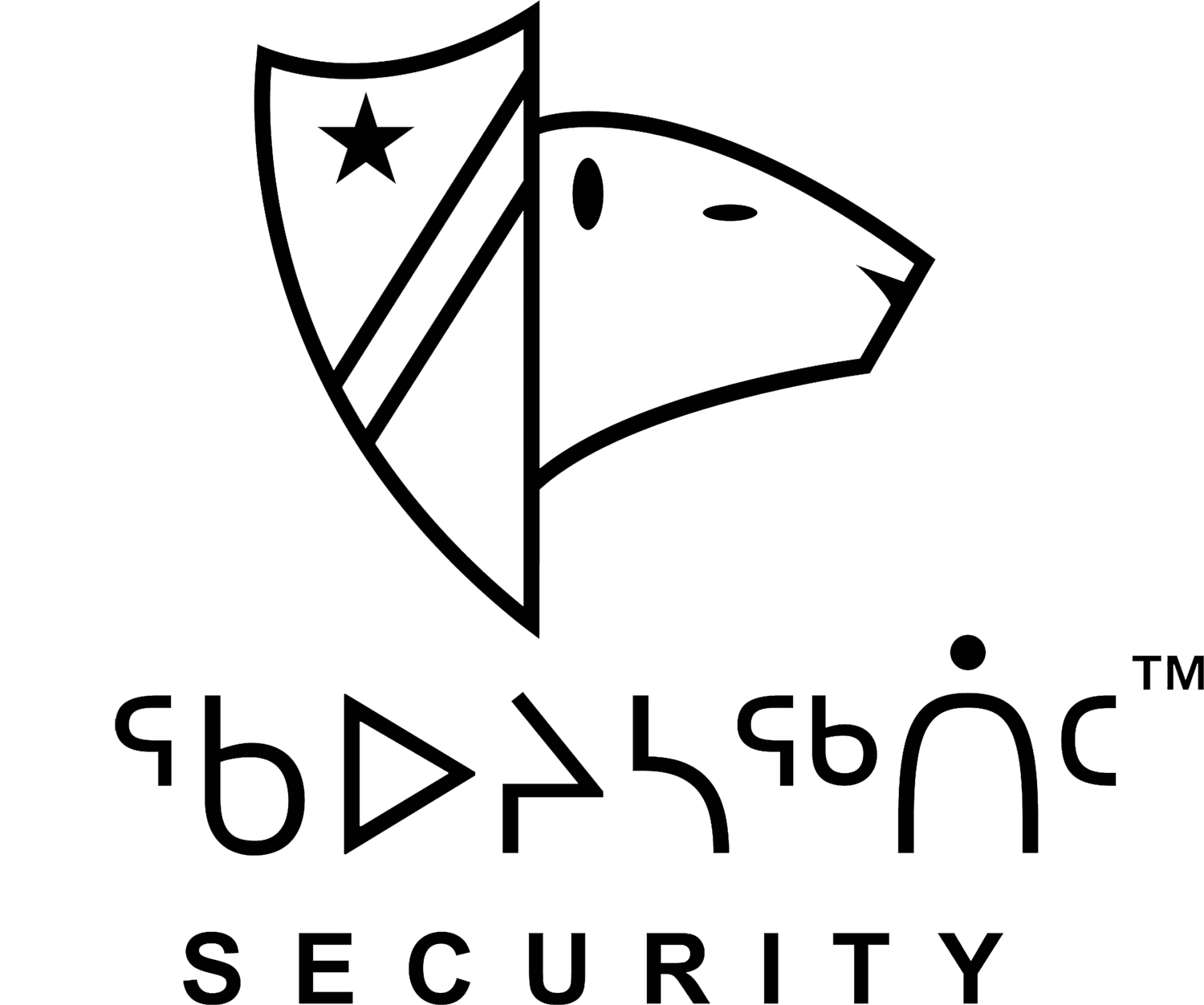 logo-2025-black-bear-security-canpas
